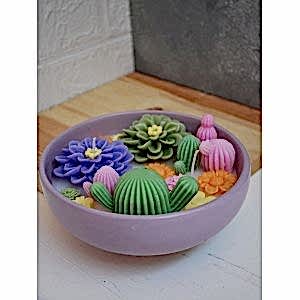 Sukulent Kokulu Çanak Mum Dekoratif Çift Fitilli Çanak Mum