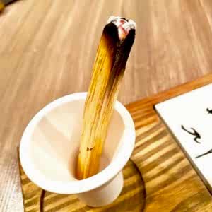 Palo Santo Konik Tütsülük Lacivert