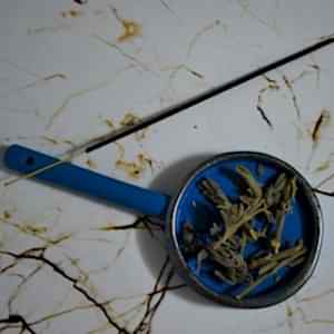 Mudi Mavi Renkli Tütsülük 1 Tütsü Hediyeli Tütsü Tabağı