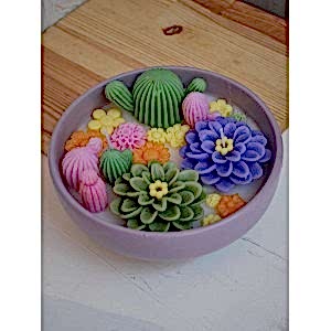 Sukulent Kokulu Çanak Mum Dekoratif Çift Fitilli Çanak Mum