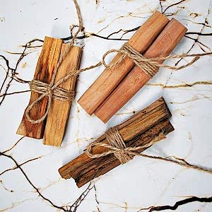 2 Adet 20 Gr Palo Santo Tütsü ve Silver Beton Döküm Konik Tütsülük Camel