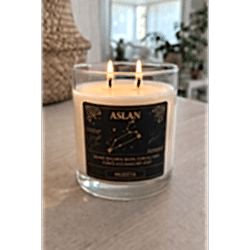 ASLAN Burcu Bardak Mum Kokulu Dekoratif Mum